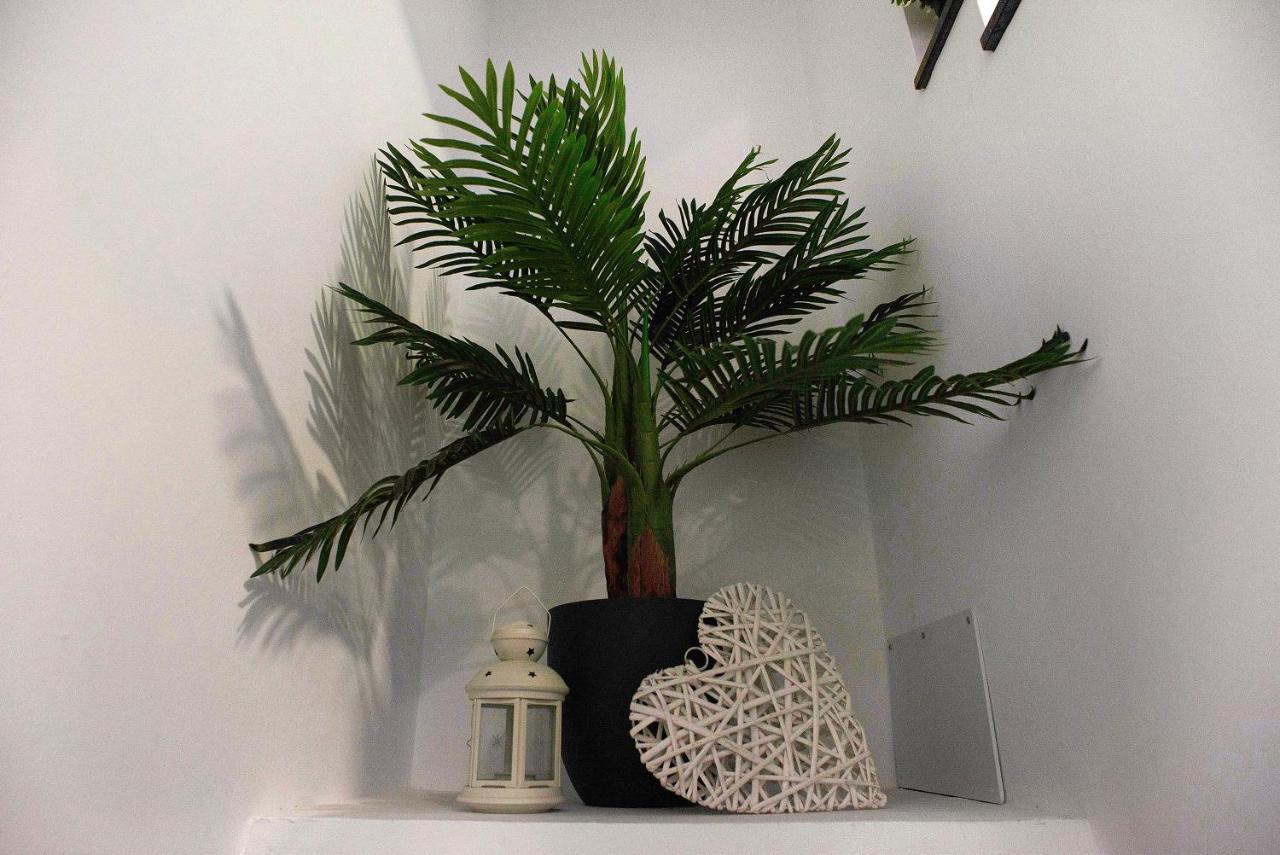 Jardin Cardona Apartment Arucas Bagian luar foto
